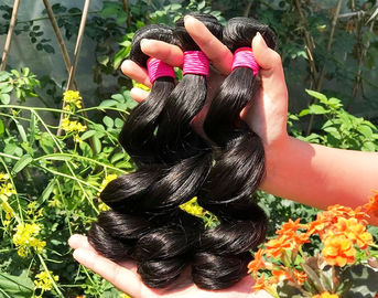China Brown preto do Weave 100% malaio saudável do cabelo humano/escuro natural da moça fornecedor