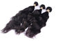 Extensões Bouncy do cabelo humano de Remy do indiano sem cabelo sintético ou cabelo animal misturado fornecedor